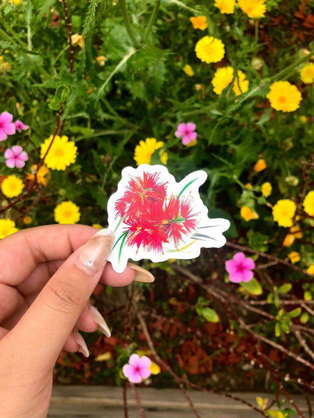 red-bottlebrush-colour-pencil-die-cut-sticker-hand-comparison