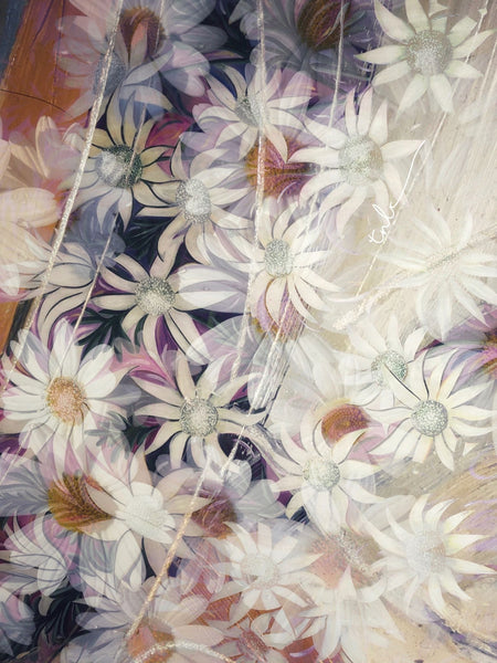 white-flannel-daisy-on-purple-background-morning-mist-art-print-painting-with-colour-pencil