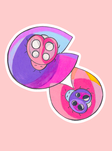 sticker-sleeping-ladybug-twins-photo-pink-purple-ladybird-on-lilly-pad