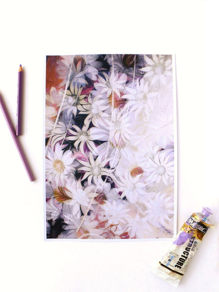 white-flannel-daisy-on-purple-background-morning-mist-art-print-painting-with-colour-pencil