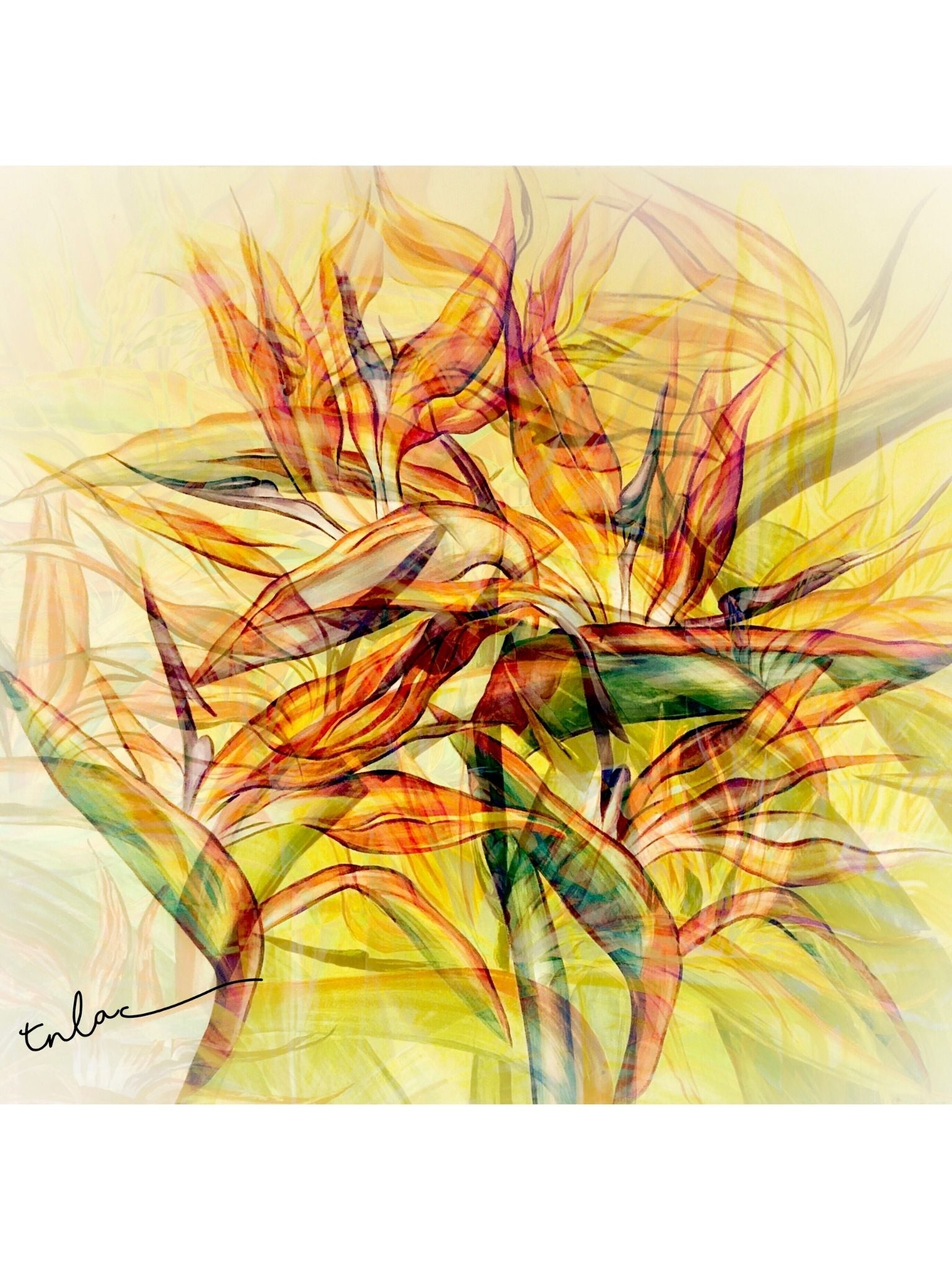 golden-birds-of-paradise-colour-pencil-acrylic-paint-art-print