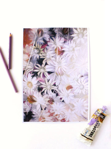white-flannel-daisy-on-purple-background-morning-mist-art-print-painting-with-colour-pencil